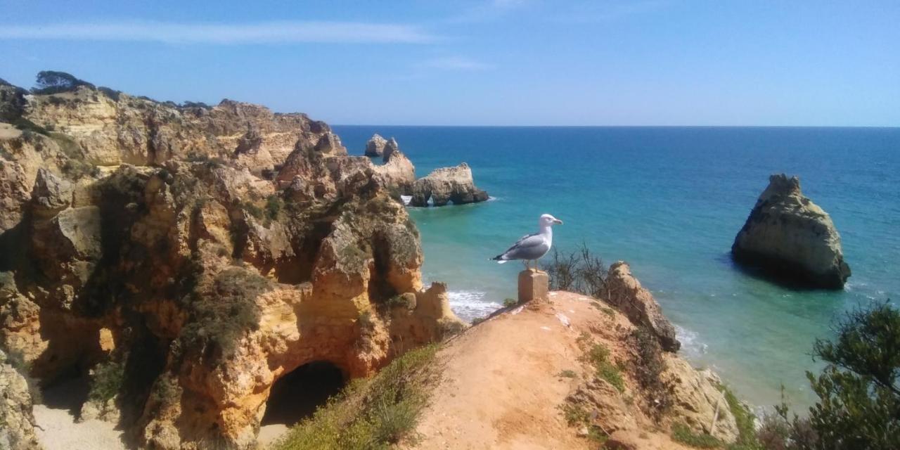 T2 De Luxo Em Albur-Village A 10 Minutos Da Praia A Pe Alvor Zewnętrze zdjęcie